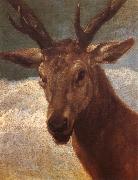 VELAZQUEZ, Diego Rodriguez de Silva y, Deer